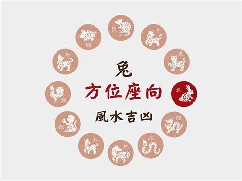 兔子代表數字|肖兔座向及吉祥號碼數字